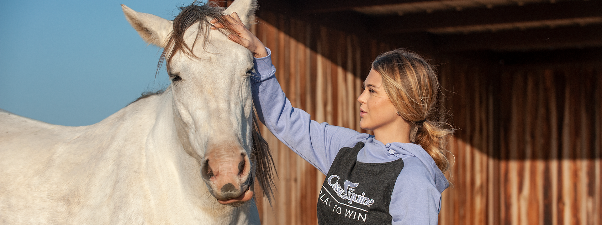 Train | Compete | Win